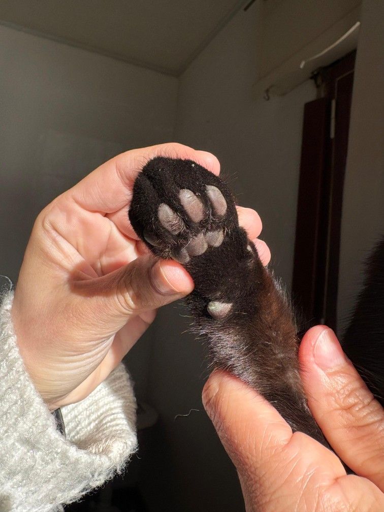 Bu fotoğrafı çekip paylaşmadan duramadım 😅